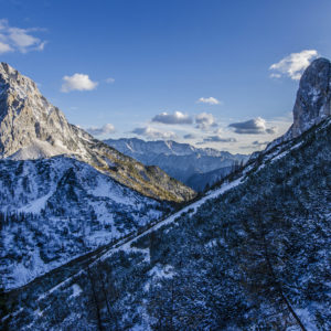 university hospital dentist_dummy006