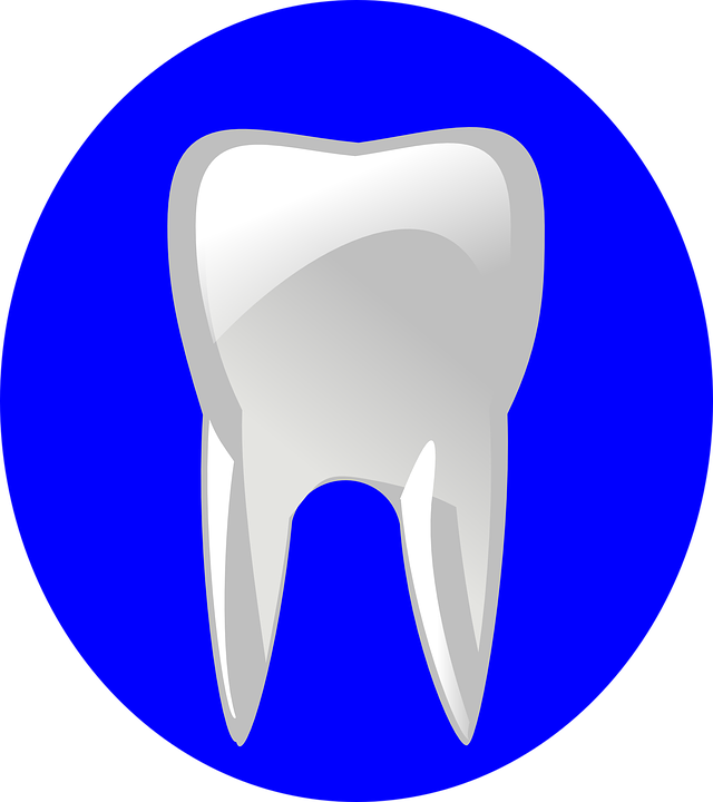 Edmonton General Dentist